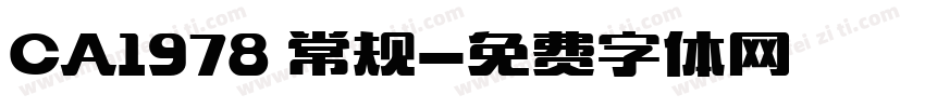 CA1978 常规字体转换